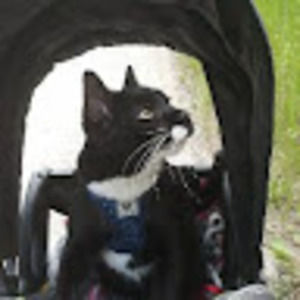 Meet your Posher, Keliesa